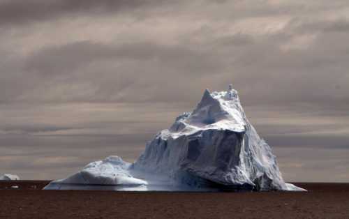 антарктида и арктика: в чём отличия